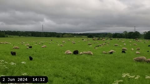20240602_191231.mp4