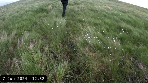 GX010261.MP4