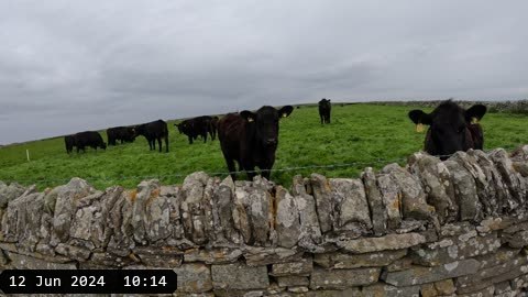 GX010403.MP4