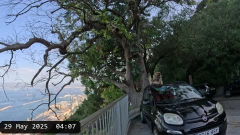 GX010102.MP4