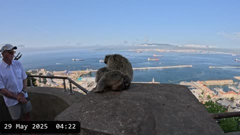 GX010106.MP4
