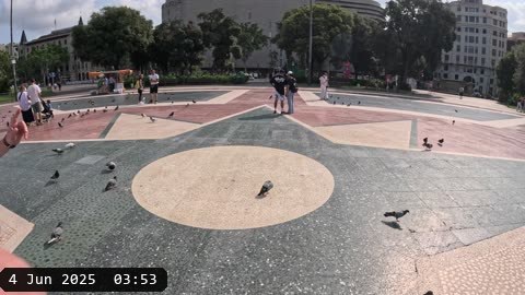 GX010236.MP4